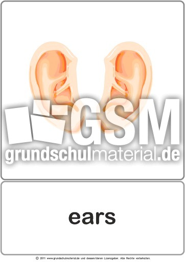 Bildkarte - ears.pdf